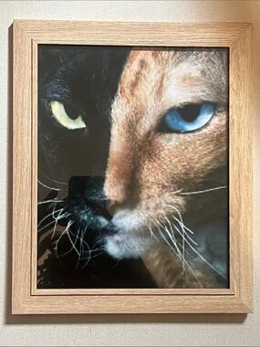 Hand Crafted Framed Cat Art Print - Blue and Green Eye Cat Portrait